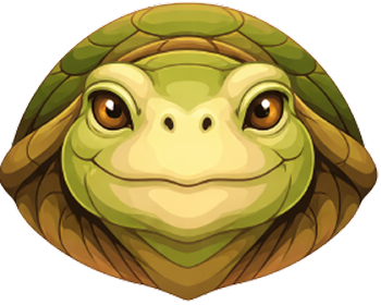 Tortoise
